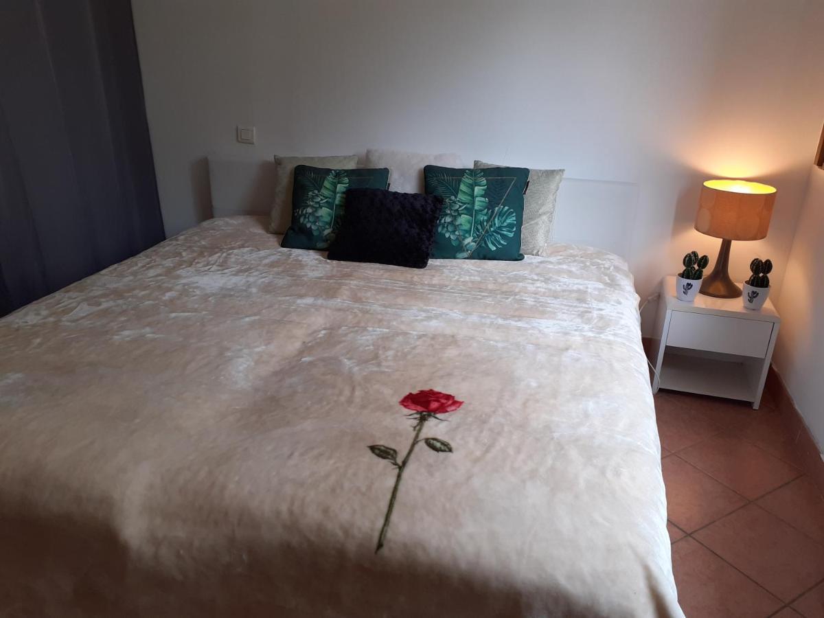 Logement calme et agréable à proximité d'Ajaccio Canale Cabanes Extérieur photo